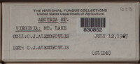 Image Associated With the Occurence
